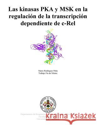 Las Kinasas Pka Y Msk En La Regulación de la Transcripción Dependiente de C-Rel Rodriguez Pena, Mario 9781502715227 Createspace