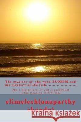 The mystery of 153 fish: 153 fish Elimelech 9781505853469 Createspace