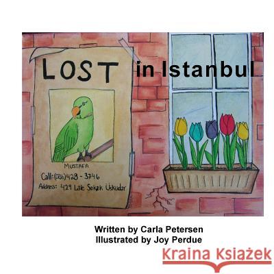 Lost in Istanbul Carla Petersen Joy Perdue 9781515159858 Createspace Independent Publishing Platform