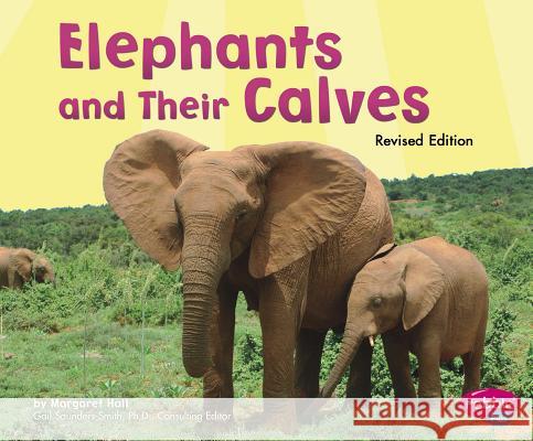 Elephants and Their Calves Margaret Hall 9781515742364 Capstone Press
