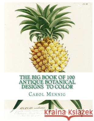 The Big Book of 100 Botanical Designs to Color Carol Elizabeth Mennig 9781517193256 Createspace