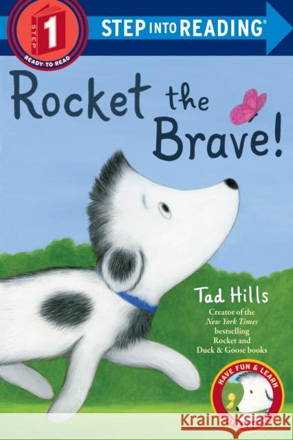 Rocket the Brave! Tad Hills 9781524773472 Random House Books for Young Readers