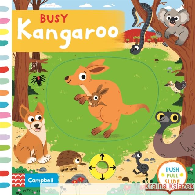 Busy Kangaroo Campbell Books 9781529017700 Pan Macmillan