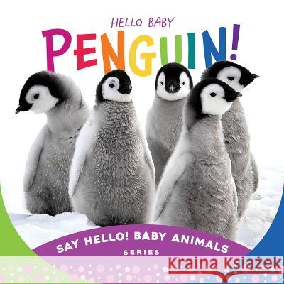Hello Baby Penguin! Beverly Rose 9781534112834 Sleeping Bear Press