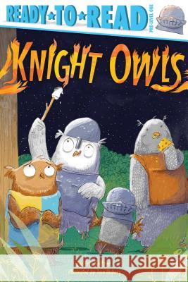 Knight Owls: Ready-To-Read Pre-Level 1 Seltzer, Eric 9781534448803 Simon Spotlight