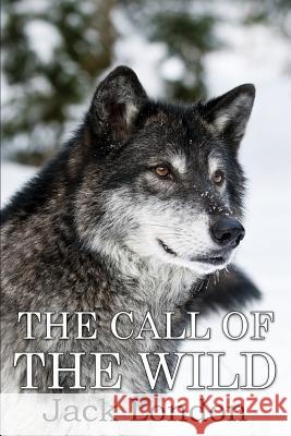 The Call of the Wild: (Mockingbird Classics) London, Jack 9781536992427 Createspace Independent Publishing Platform