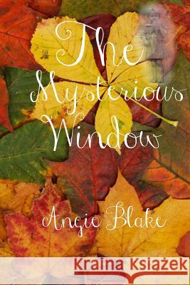 The Mysterious Window Angie Blake 9781537226422 Createspace Independent Publishing Platform