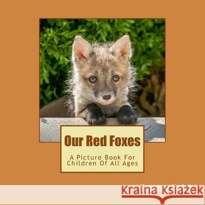 Our Red Foxes: A Picture Book For Children Of All Ages Keith, Tommy 9781539145691 Createspace Independent Publishing Platform