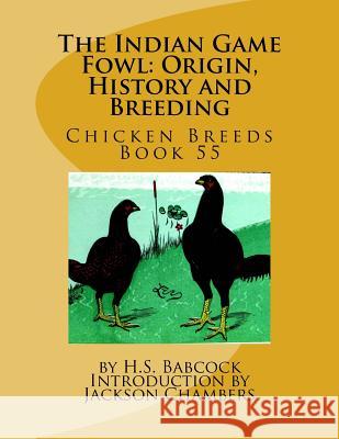 The Indian Game Fowl: Origin, History and Breeding: Chicken Breeds Book 55 H. S. Babcock Jackson Chambers 9781542778909 Createspace Independent Publishing Platform
