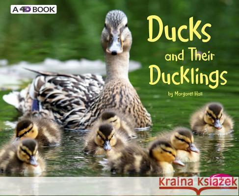 Ducks and Their Ducklings: A 4D Book Margaret Hall 9781543508352 Capstone Press