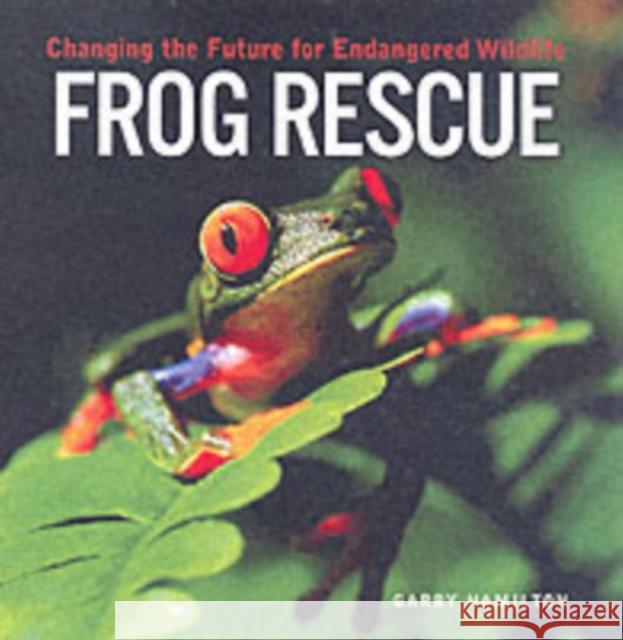 Frog Rescue: Changing the Future for Endangered Wildlife Garry Hamilton 9781552975961 Firefly Books