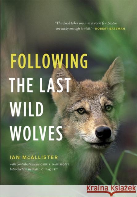 Following the Last Wild Wolves Ian McAllister Paul C. Paquet Chris Darimont 9781553655879 Greystone Books