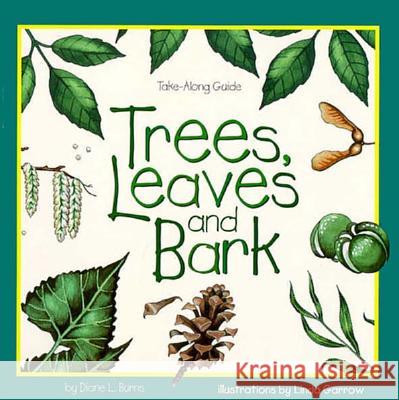 Trees, Leaves & Bark Diane L. Burns Linda Garrow 9781559716284 Northword Press