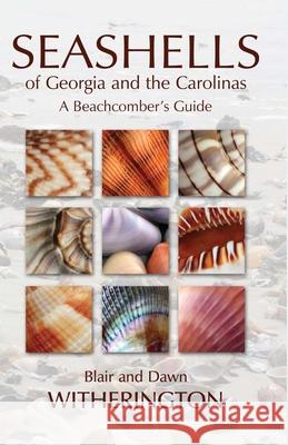 Seashells of Georgia and the Carolinas: A Beachcomber's Guide Blair E. Witherington 9781561644971 Pineapple Press