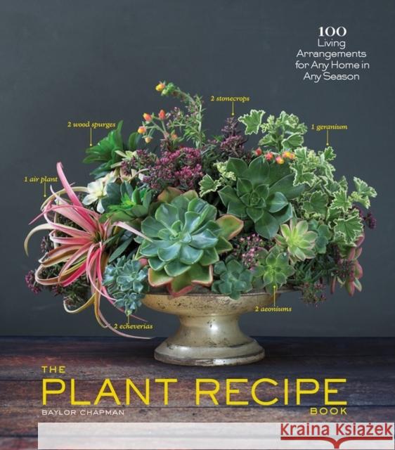 The Plant Recipe Book: 100 Living Arrangements for Any Home in Any Season Chapman, Baylor 9781579655518 Artisan Publishers