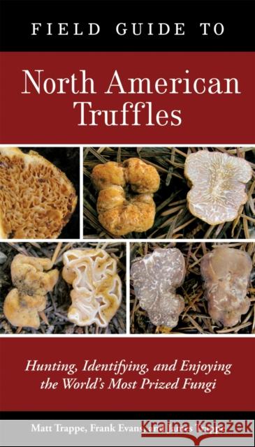 Field Guide to North American Truffles: Hunting, Identifying, and Enjoying the World's Most Prized Fungi Frank Evans Matt Trappe James M. Trappe 9781580088626 Ten Speed Press