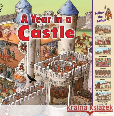 A Year in a Castle  9781580137966 First Avenue Editions