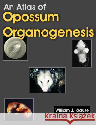 An Atlas of Opossum Organogenesis: Opossum Development Krause, William J. 9781581129694 Universal Publishers