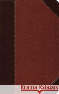 Thinline Bible-ESV-Portfolio Design Crossway Bibles 9781581347364 Crossway Books