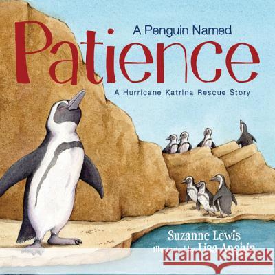 A Penguin Named Patience: A Hurricane Katrina Rescue Story Suzanne Lewis Lisa Anchin 9781585368402 Sleeping Bear Press