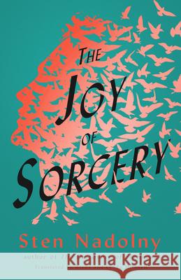 The Joy of Sorcery  9781589881464 Paul Dry Books