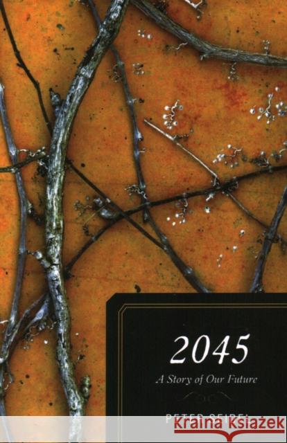 2045: A Story of Our Future Seidel, Peter 9781591027058 Prometheus Books