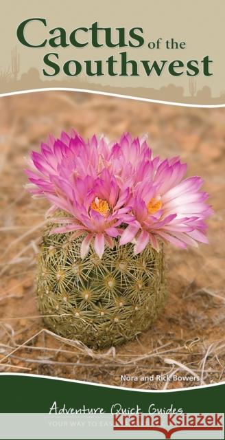 Cactus of the Southwest: Your Way to Easily Identify Cacti Bowers, Nora 9781591935827 Adventure Publications(MN)
