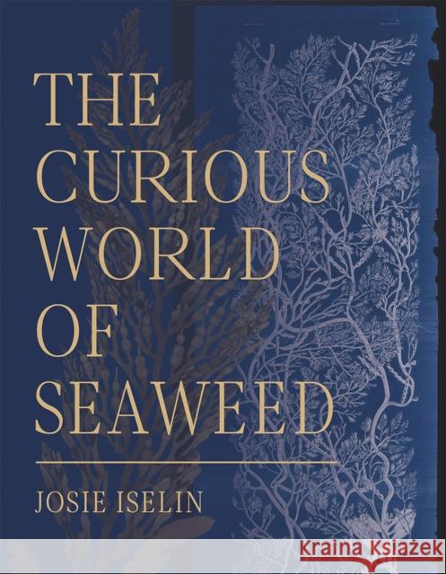 The Curious World of Seaweed Iselin, Josie 9781597144827 Heyday Books