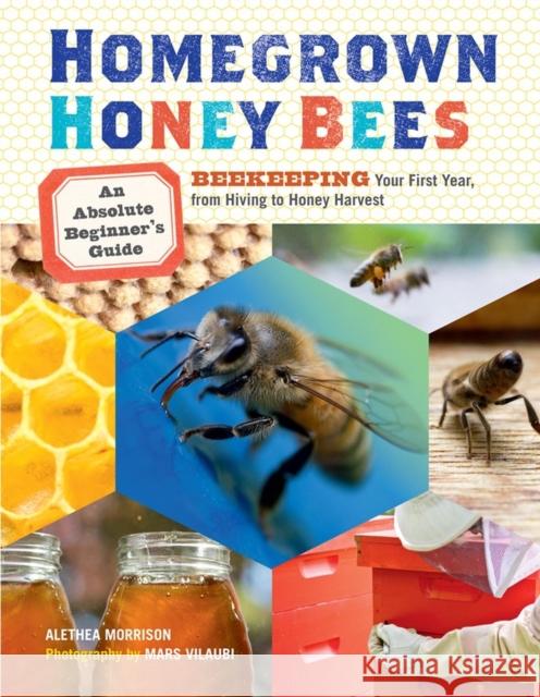 Homegrown Honey Bees: An Absolute Beginner's Guide to Beekeeping Your First Year, from Hiving to Honey Harvest Alethea Morrison 9781603429948 0