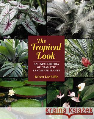 The Tropical Look: An Encyclopedia of Dramatic Landscape Plants Riffle, Robert Lee 9781604690835 Timber Press (OR)