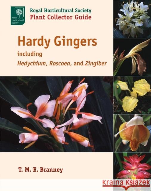 Hardy Gingers: Including Hedychium, Roscoea, and Zingiber Branney, T. M. E. 9781604691733 Timber Press (OR)