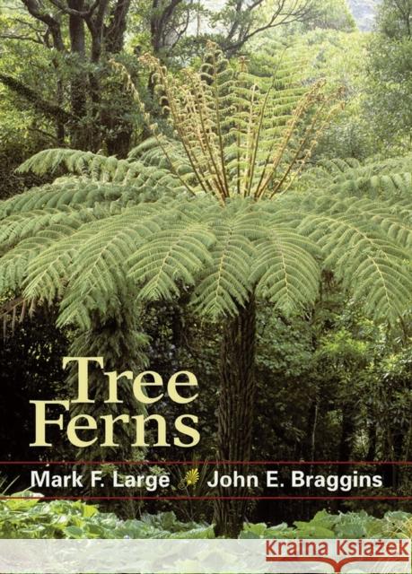 Tree Ferns Mark F. Large John E. Braggins 9781604691764 Timber Press (OR)