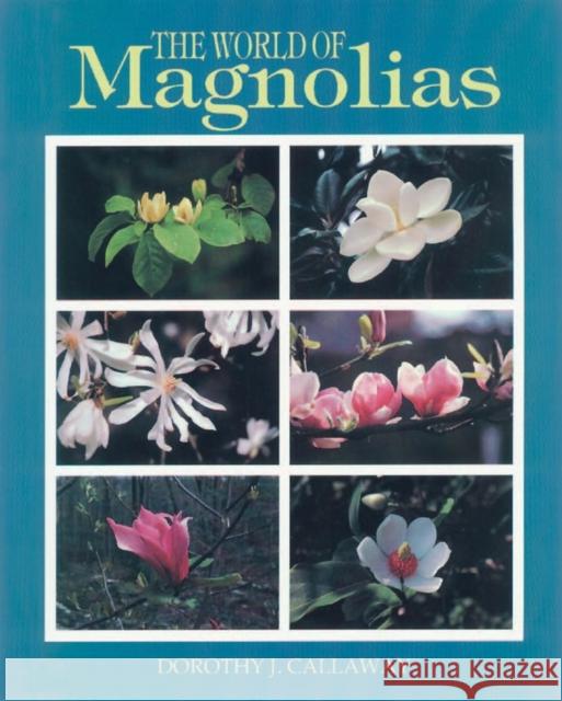 The World of Magnolias Dorothy J. Callaway 9781604692266 Timber Press (OR)
