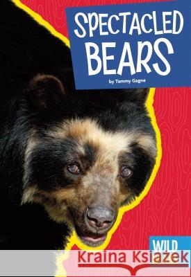 Spectacled Bears Tammy Gagne 9781607537786 Amicus High Interest