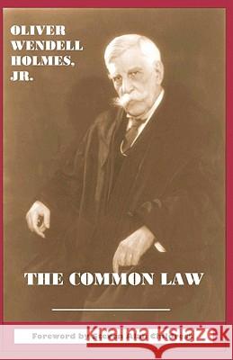The Common Law Oliver Wendell, Jr. Holmes Steven Alan Childress Steven Alan Childress 9781610270007 Quid Pro, LLC