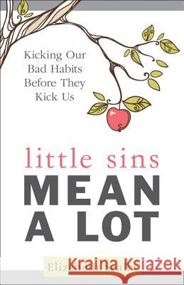 Little Sins Mean a Lot: Kicking Our Bads Habits Before They Kick Us Elizabeth Scalia 9781612789040 Our Sunday Visitor Inc.,U.S.