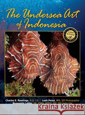 The Undersea Art of Indonesia M. D. J. D. Rawlings Bfa Leah Perez Me Cmas Lobbu 9781614937050 Peppertree Press