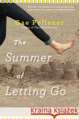 The Summer of Letting Go Gae Polisner 9781616204808 Algonquin Books of Chapel Hill