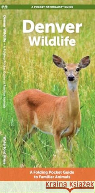 Denver Wildlife: A Folding Pocket Guide to Familiar Animals Waterford Press 9781620057025 Waterford Press