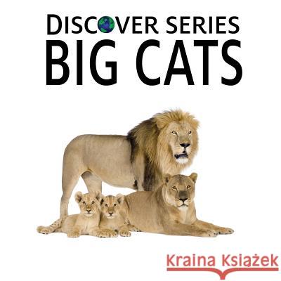 Big Cats: Discover Series Picture Book for Children Xist Publishing 9781623950156 Xist Publishing