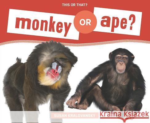 Monkey or Ape? Susan Holt Kralovansky 9781624032875 Super Sandcastle