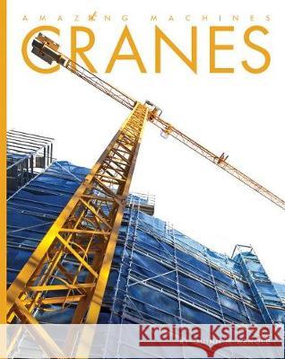 Cranes Quinn M. Arnold 9781628325041 Creative Paperbacks