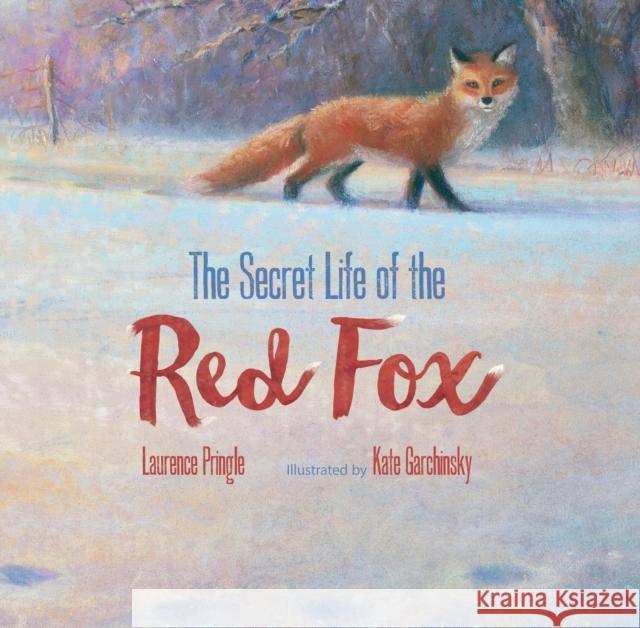 Secret Life of the Red Fox Laurence Pringle 9781629792606 Astra Publishing House