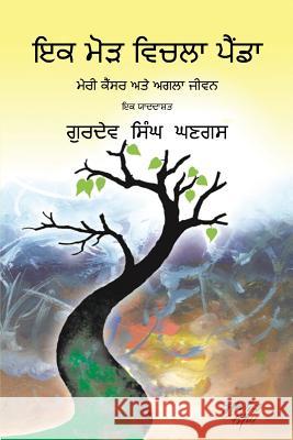 Journey Through a Turning Point: Punjabi Edition Gurdev S. Ghangas 9781634988353 Bookstand Publishing