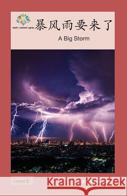 暴风雨要来了: A Big Storm Washington Yu Ying Pcs 9781640400504 Level Chinese