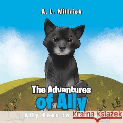 The Adventures of Ally: Ally Goes to Mexico A L Willrich 9781640885677 Trilogy Christian Publishing