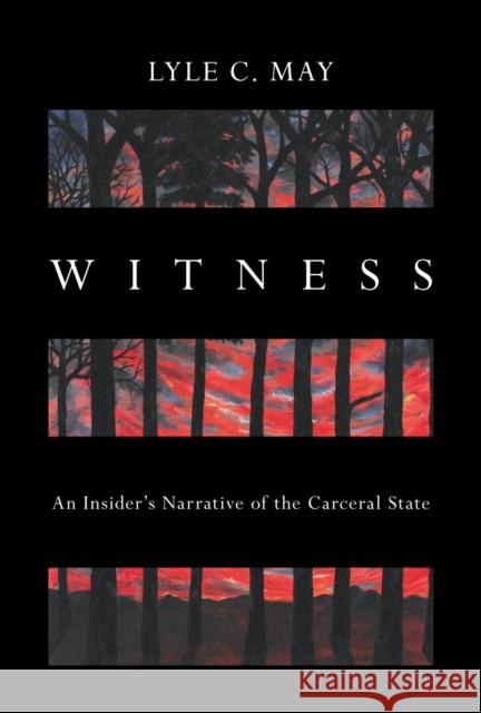 Witness: An Insider\'s Narrative of the Carceral State  9781642599718 Haymarket Books