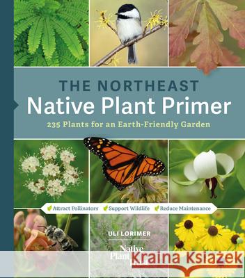 The Northeast Native Plant Primer: 235 Plants for an Earth-Friendly Garden Lorimer, Uli 9781643260464 Timber Press (OR)