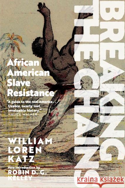 Breaking The Chains: African-American Slave Resistance William Loren Katz 9781644212653 Triangle Square