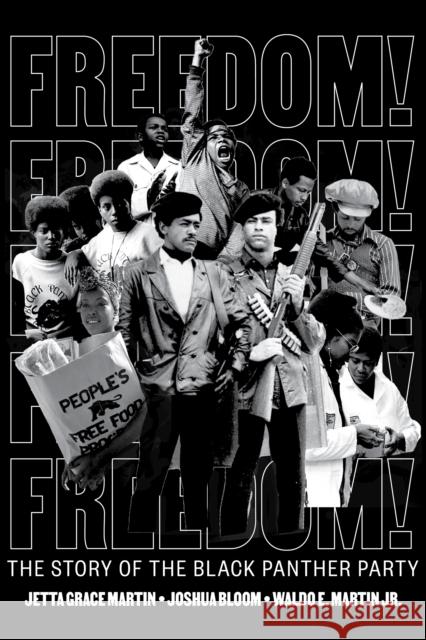 Freedom! the Story of the Black Panther Party Martin, Jetta Grace 9781646140930 Levine Querido